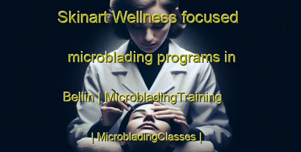 Skinart Wellness-focused microblading programs in Bellin | MicrobladingTraining | MicrobladingClasses | SkinartTraining-Turkey